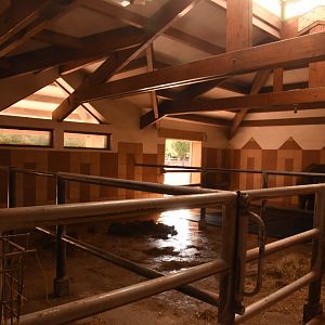 White Rhino stables