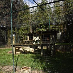 Lynx cage