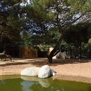 Greater Kudu enclosure