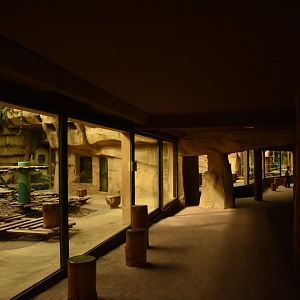 Great Ape house interior