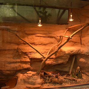 Python enclosure