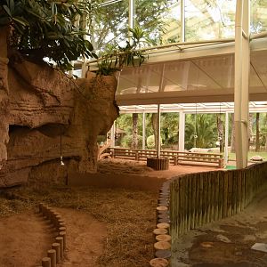 Giant Tortoise enclosure
