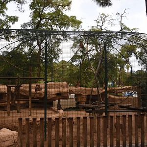 Pig-tailed Macaque cage