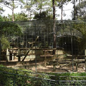 Sri-Lankan Leopard cage