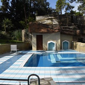 Californian Sea Lion separation