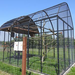 Avivray for Cockatoo