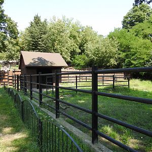 Former European bisons encolurse