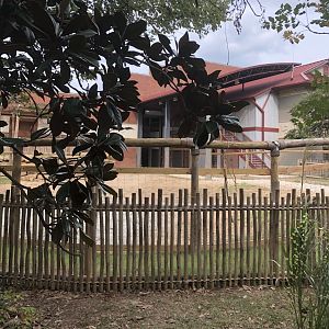 Finished Giraffe Exhibit