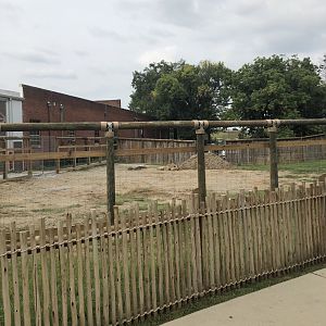 Finished Giraffe Exhibit