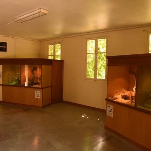European reptile house