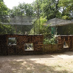 Mediterranean Genet & Hawk Owl aviaries