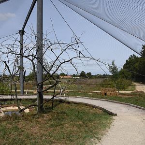 Countryside - Egret & Turtle Dove aviary