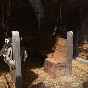 Beech Marten enclosure