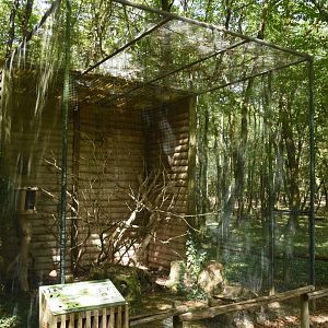 Little Owl aviary