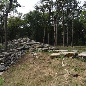 Barbary Macaque enclosure