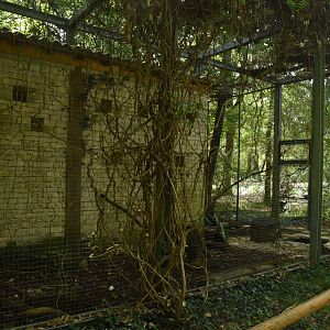 Mediterranean Genet cage