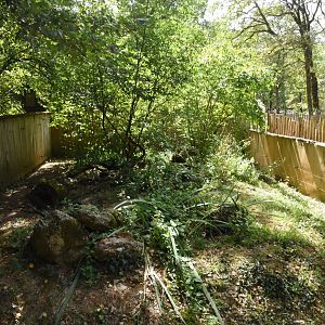 American Mink enclosure