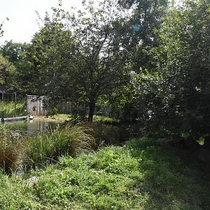 European Otter enclosure