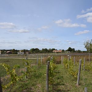 French countryside area