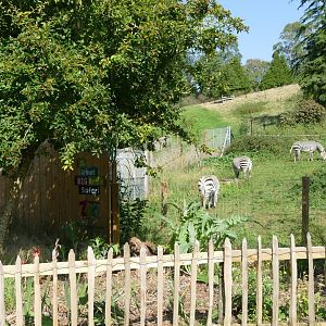 Spot the difference, September 2020