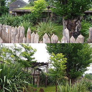 Unused koala outdoor area, 2020-09-03