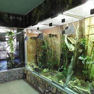 renovated terariums