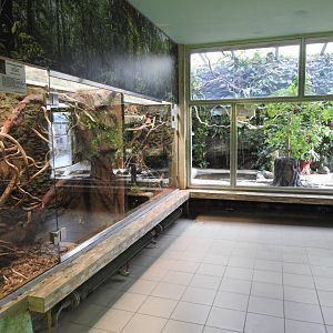 renovated terariums