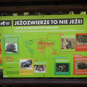 Example of new type educational boards