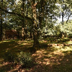 Malayan Tiger enclosure