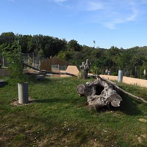 Meerkat & Porcupine enclosure