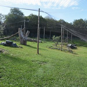 Future Iberian Lynx enclosure