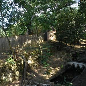 future European Otter enclosure