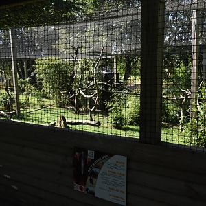 Ground Hornbill aviary