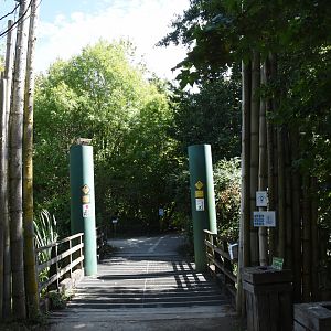 Access to monkey islands