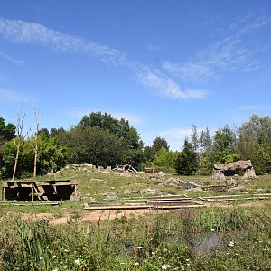 Gelada enclosure