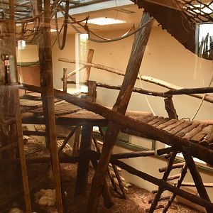 Bonobo indoor enclosure (1 of 2)