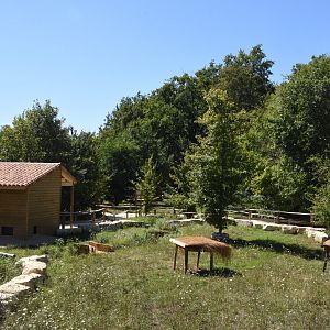 Radiated tortoise enclosure