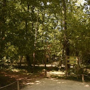 Red-bellied & Black Lemur walkthrough