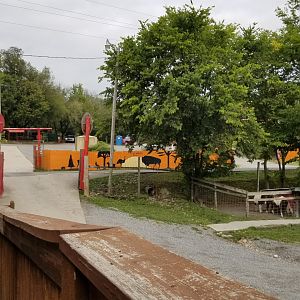 Briarwood Ranch SP - View of road/left side from building ramp