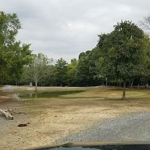 Briarwood Ranch SP - Area past bison