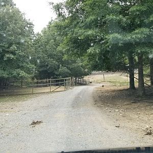 Briarwood Ranch SP - Nearly at exit