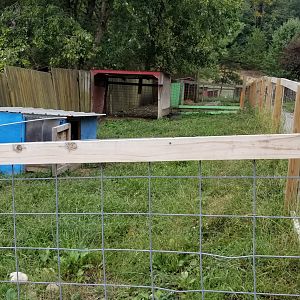 Briarwood Ranch SP - Wallaby