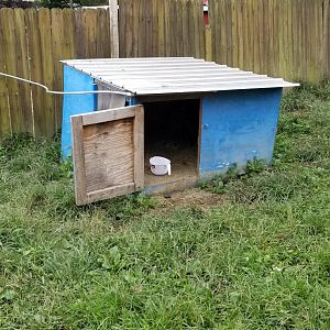 Briarwood Ranch SP - Wallaby