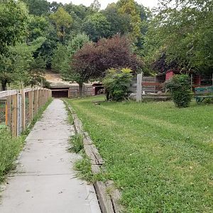 Briarwood Ranch SP - Path