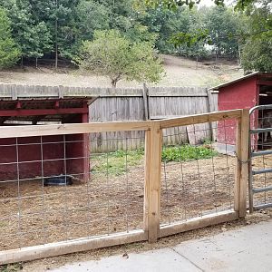 Briarwood Ranch SP - Donkey yard