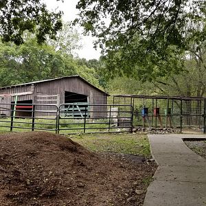 Briarwood Ranch SP - Path to birds