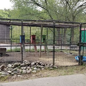 Briarwood Ranch SP - Aviary