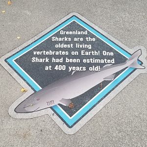 Aq of the Smokies - Signs on sidewalk