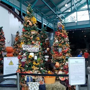 Aq of the Smokies - Fall themed trees inside entrance