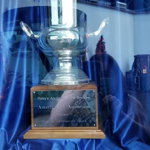 Aq of the Smokies - TripAdvisor trophy